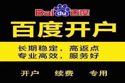 行业领先企业的百度竞价代运营经验分享
